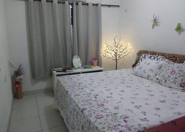Quintal293